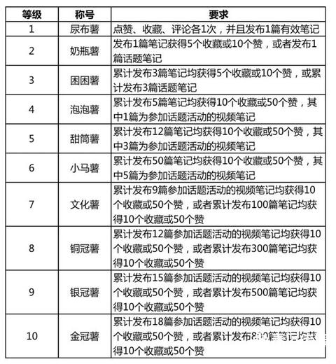 小紅書產品分析報告！