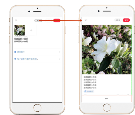 小紅書產品分析報告！