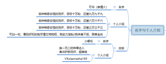 新媒體運(yùn)營(yíng),青木in,案例分析,運(yùn)營(yíng)方案,抖音