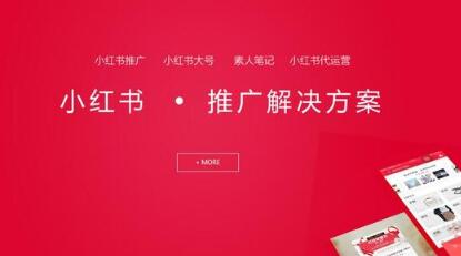 發小紅書筆記有收入嗎? 從0開始寫小紅書筆記!